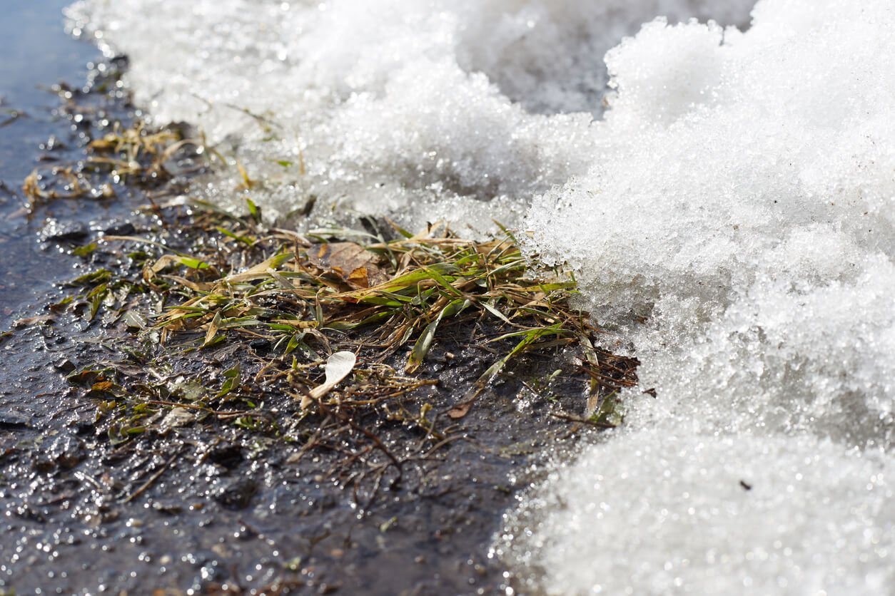 Spring snowmelt runoff and its effects on ecosystems